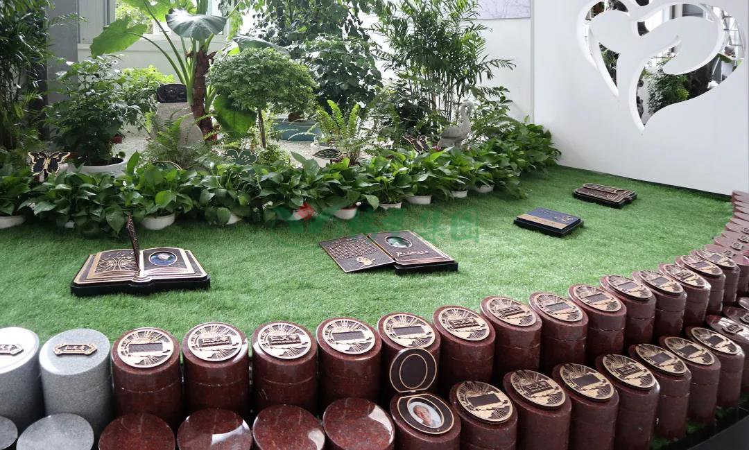 AG真人国际(中国)官方网站