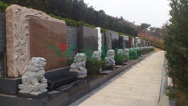 AG真人国际(中国)官方网站