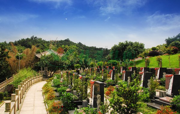 AG真人国际(中国)官方网站