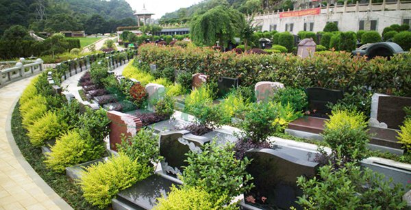 AG真人国际(中国)官方网站