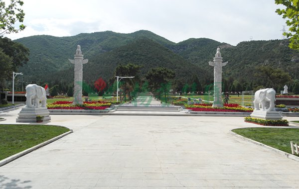 AG真人国际(中国)官方网站