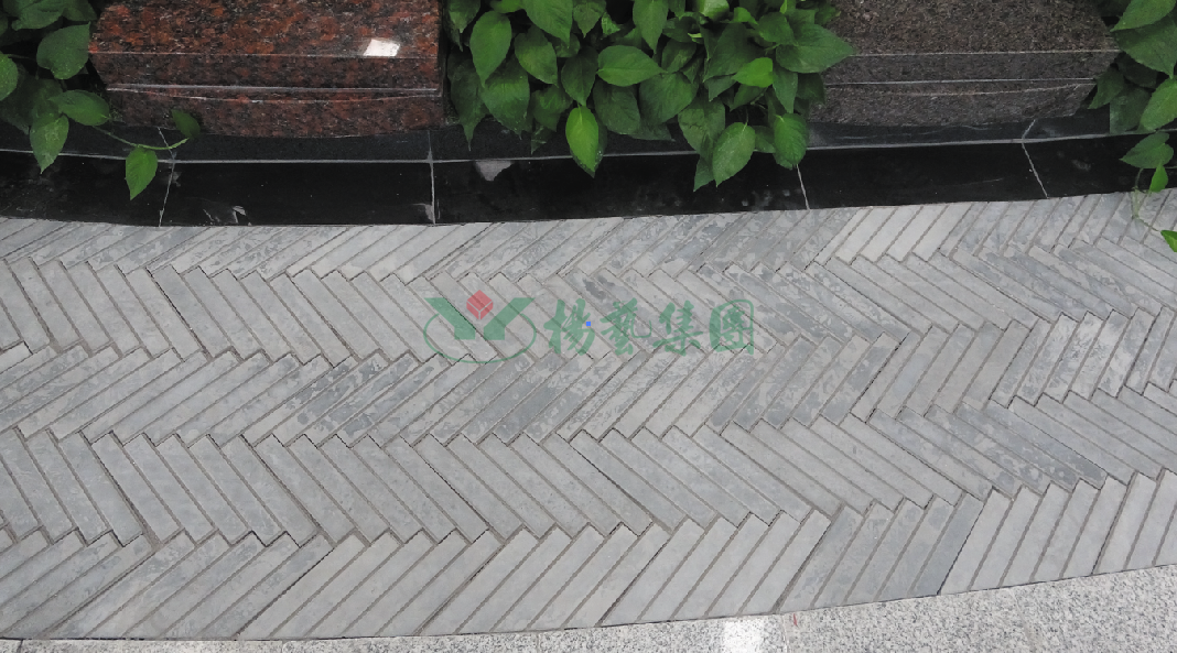 AG真人国际(中国)官方网站