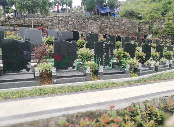 AG真人国际(中国)官方网站