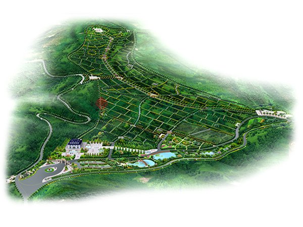 AG真人国际(中国)官方网站