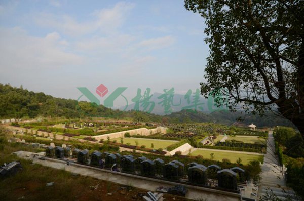 AG真人国际(中国)官方网站