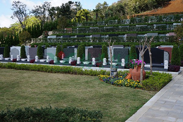 AG真人国际(中国)官方网站