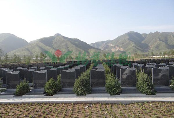 AG真人国际(中国)官方网站