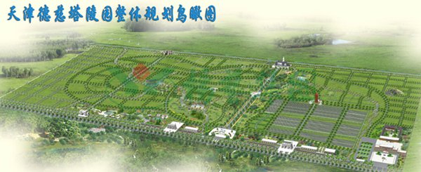 AG真人国际(中国)官方网站