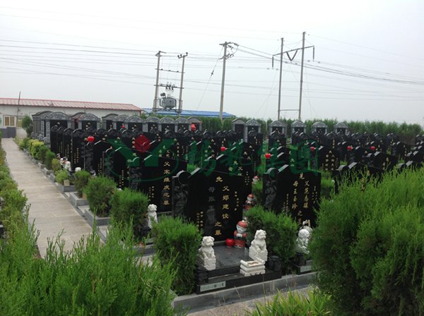 AG真人国际(中国)官方网站