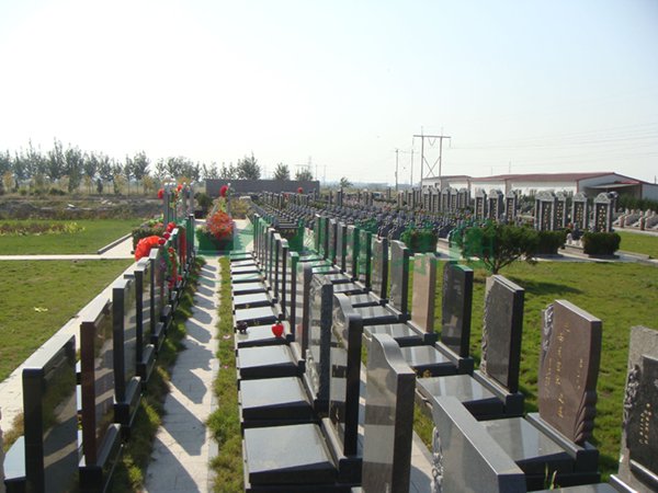 AG真人国际(中国)官方网站