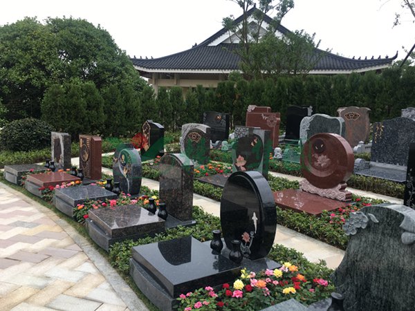 AG真人国际(中国)官方网站