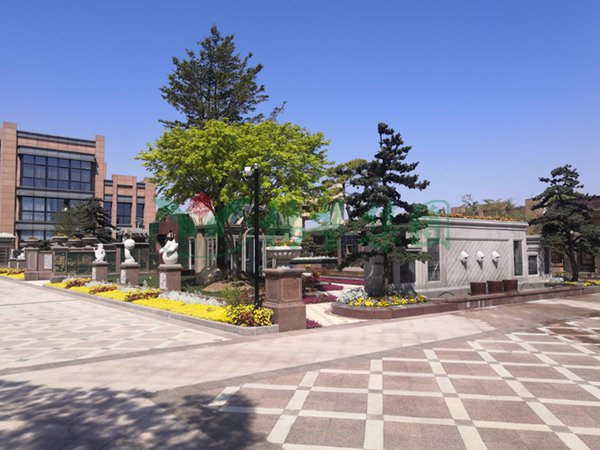 AG真人国际(中国)官方网站