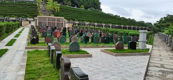 AG真人国际(中国)官方网站