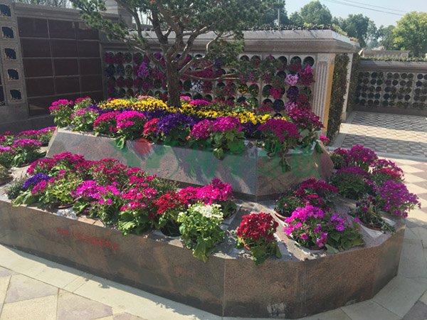 AG真人国际(中国)官方网站