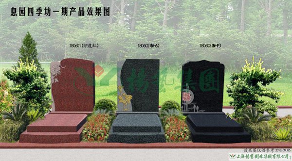 AG真人国际(中国)官方网站