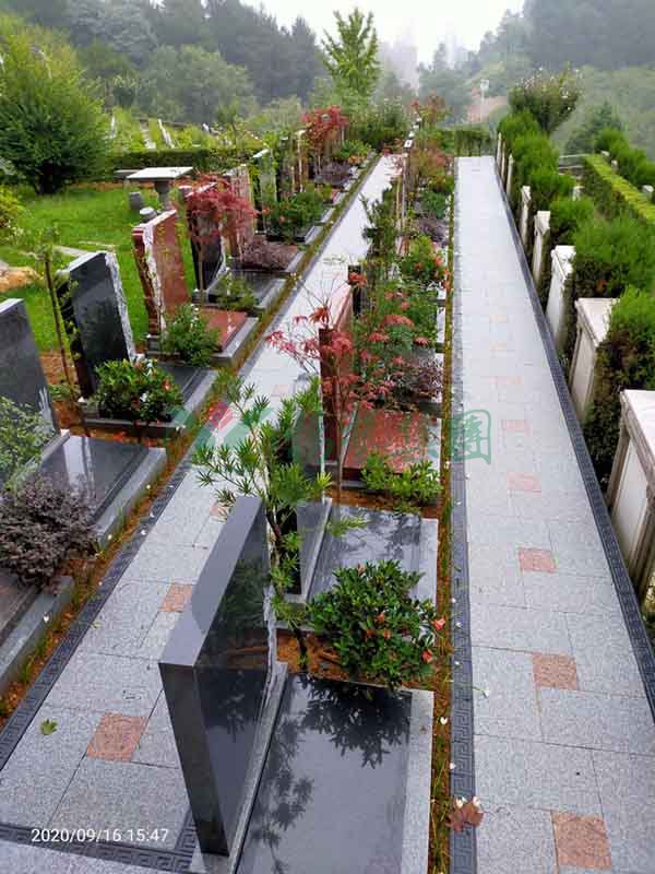 AG真人国际(中国)官方网站