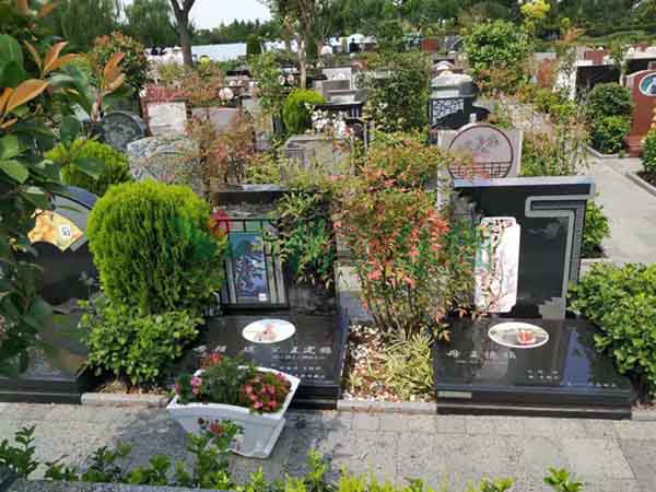 AG真人国际(中国)官方网站