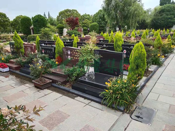 AG真人国际(中国)官方网站