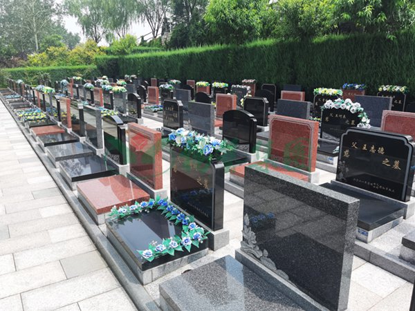 AG真人国际(中国)官方网站