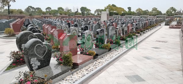 AG真人国际(中国)官方网站