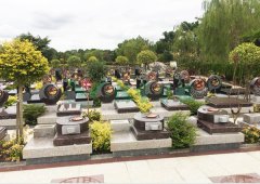 上；；；；；；懔靶腔鹎