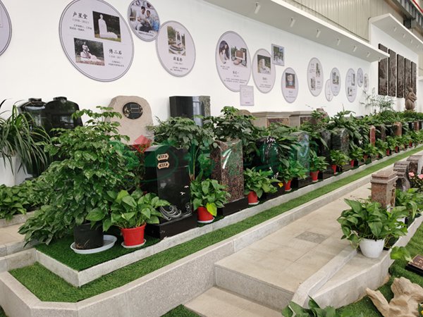 AG真人国际(中国)官方网站