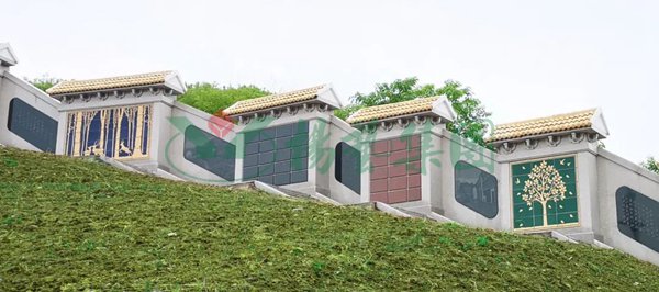 AG真人国际(中国)官方网站
