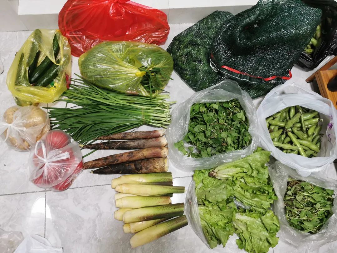 AG真人国际(中国)官方网站