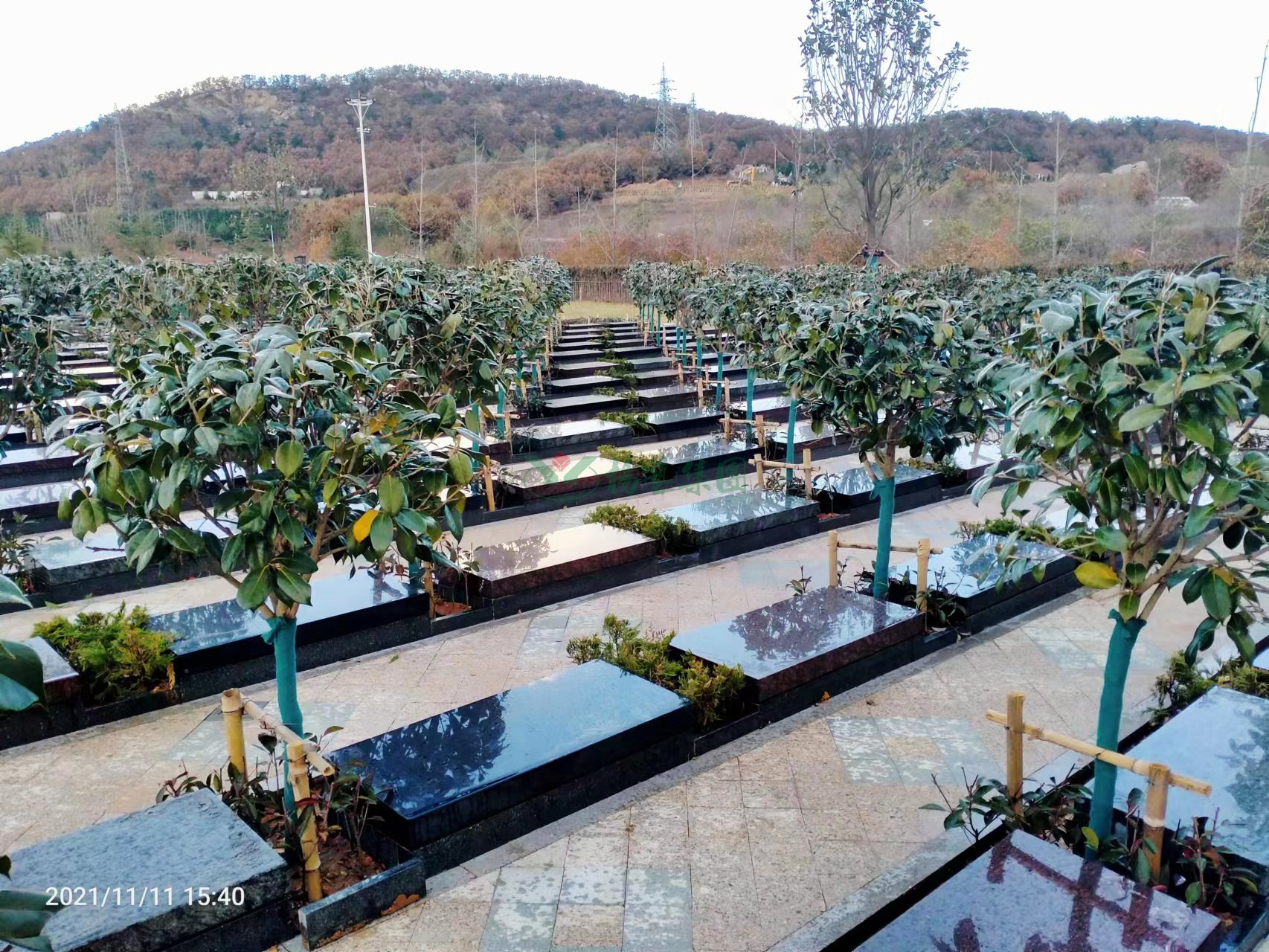 AG真人国际(中国)官方网站