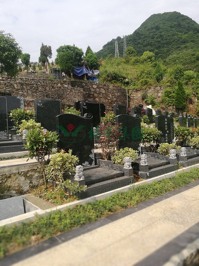 AG真人国际(中国)官方网站