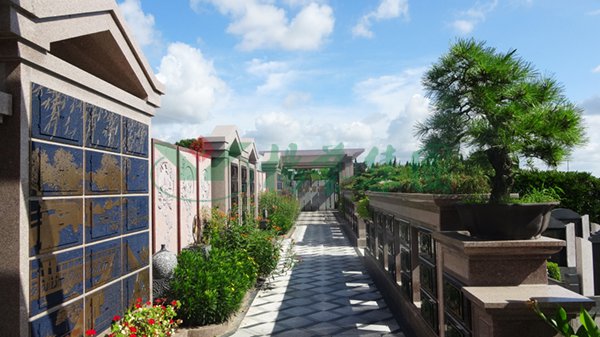 AG真人国际(中国)官方网站