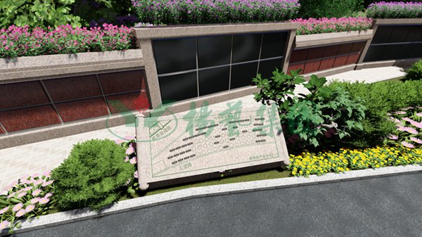 AG真人国际(中国)官方网站