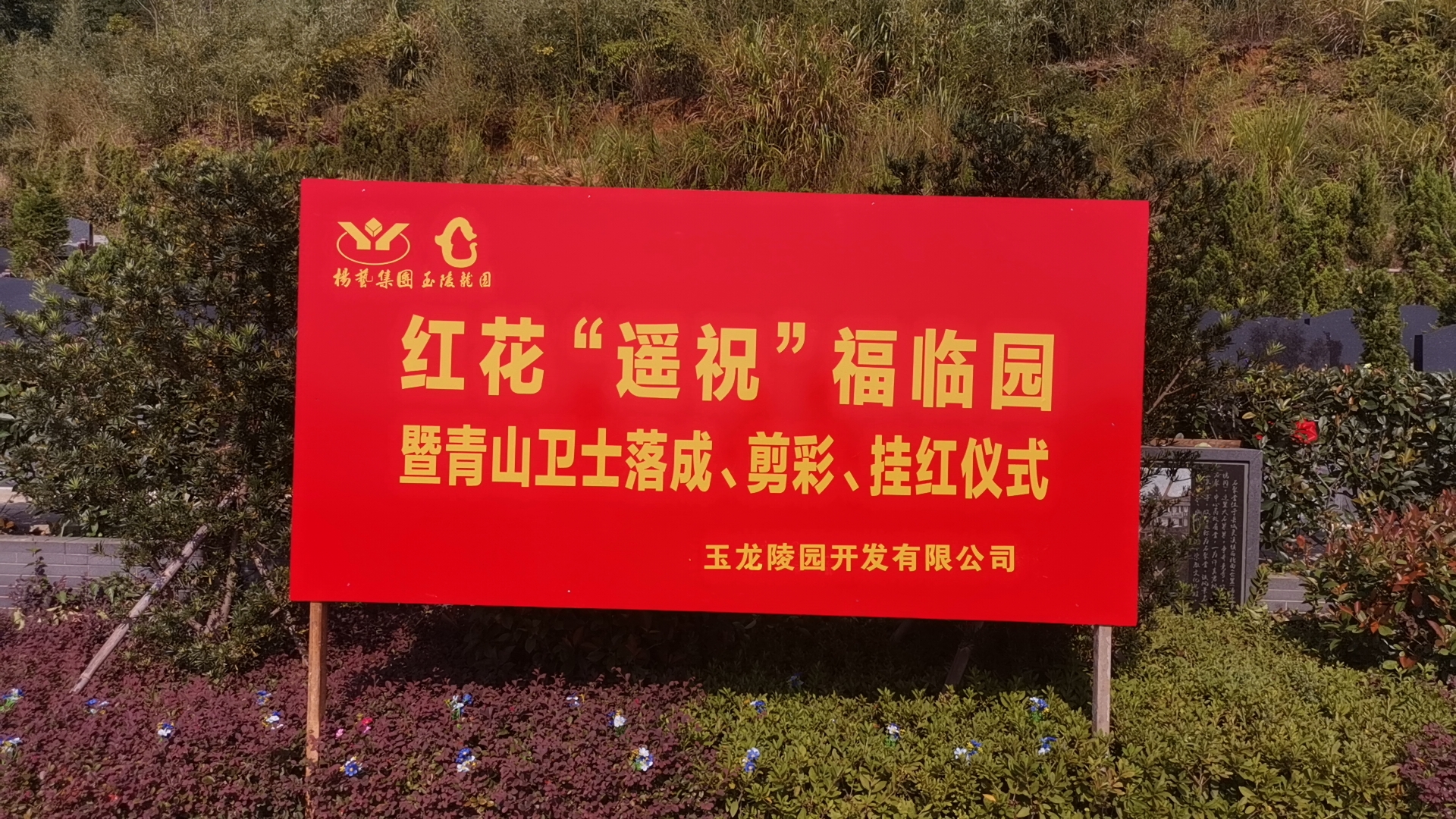 红花传爱意，，，情满玉龙园！