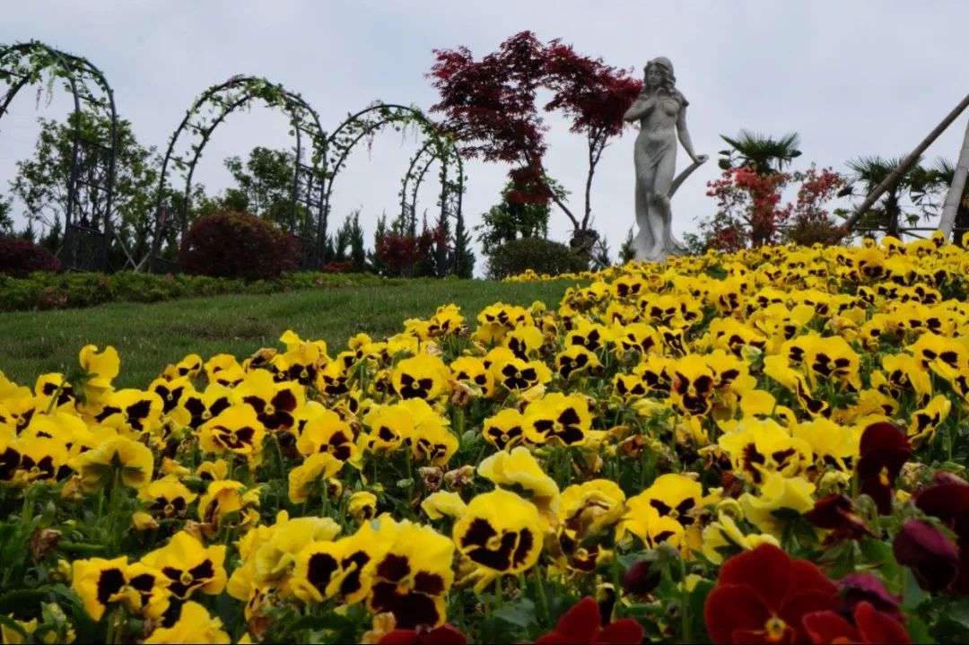 AG真人国际(中国)官方网站