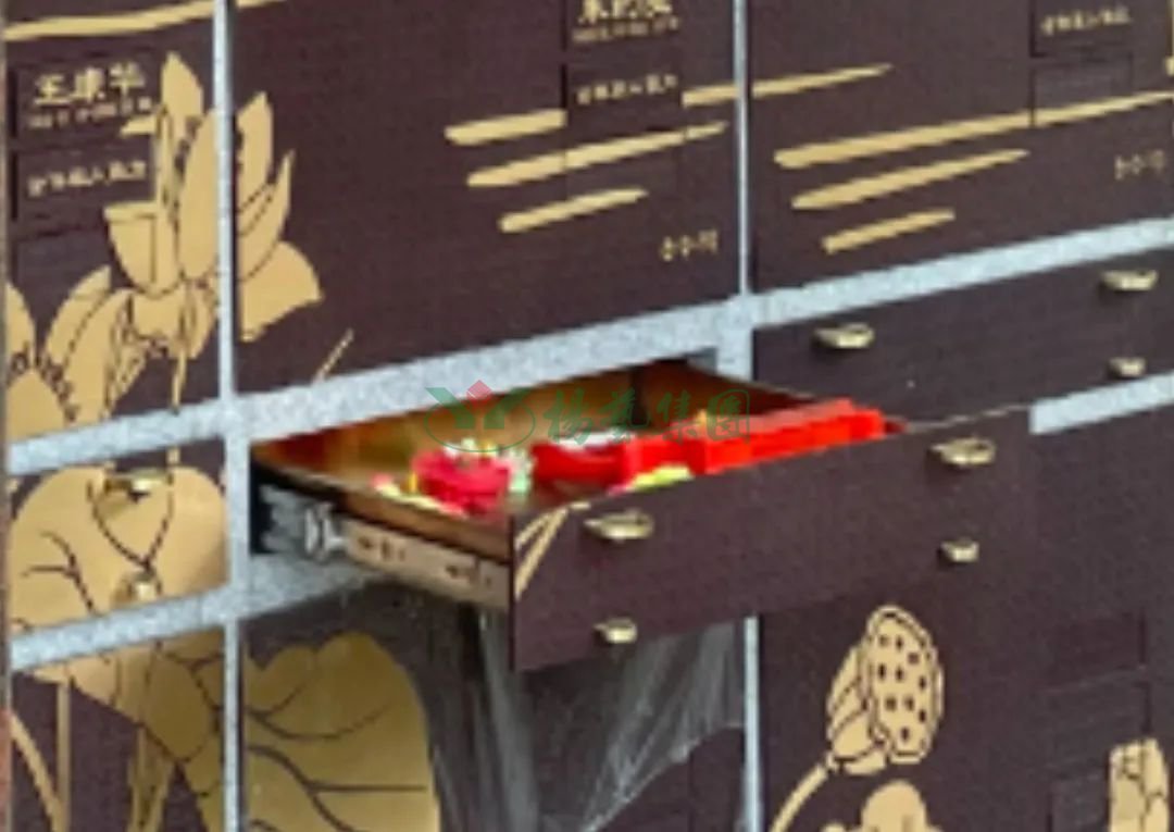 AG真人国际(中国)官方网站