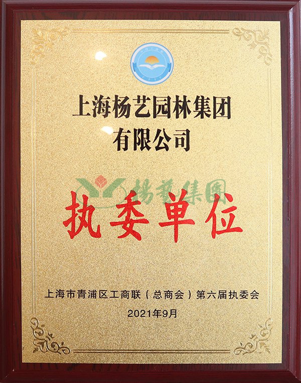 AG真人国际(中国)官方网站