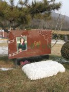 李媛媛