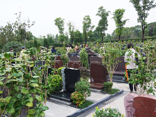 AG真人国际(中国)官方网站