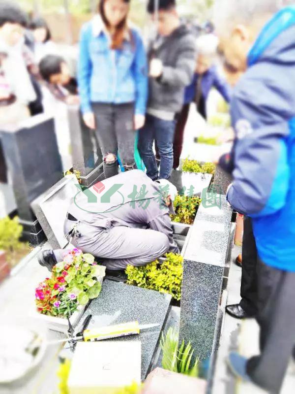 AG真人国际(中国)官方网站