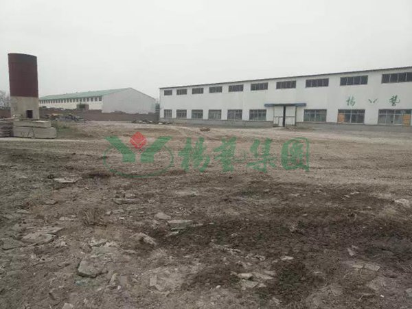 AG真人国际(中国)官方网站