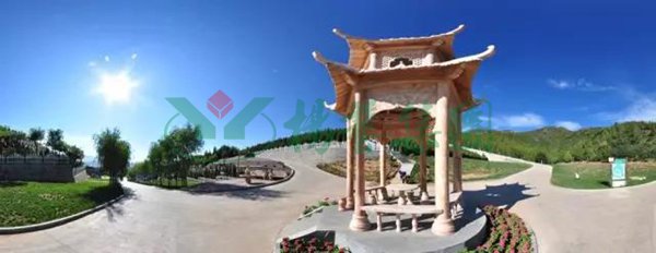 AG真人国际(中国)官方网站