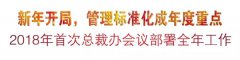 新年开局，，，，，，，治理标准化成年度重点