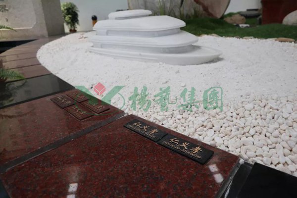 AG真人国际(中国)官方网站