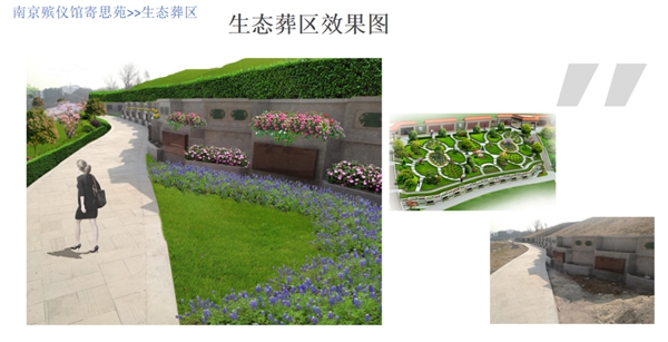 AG真人国际(中国)官方网站