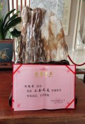 杨桂荣荣膺南浔区总工会“工会之友”声誉称呼