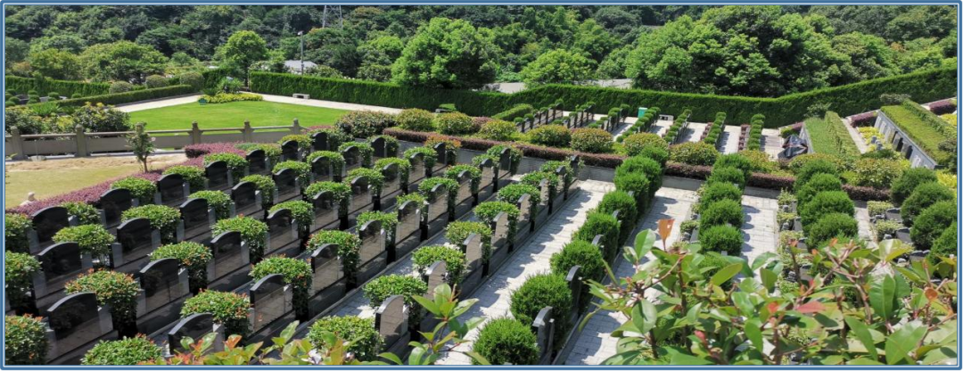 AG真人国际(中国)官方网站