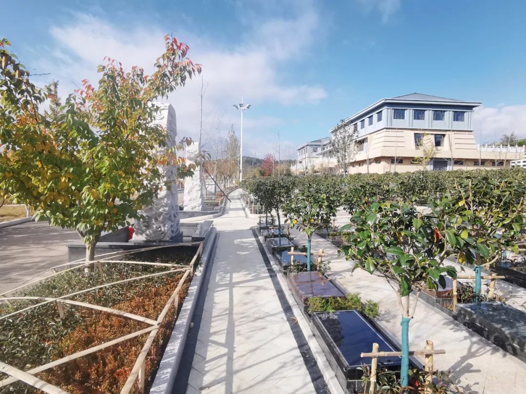 AG真人国际(中国)官方网站