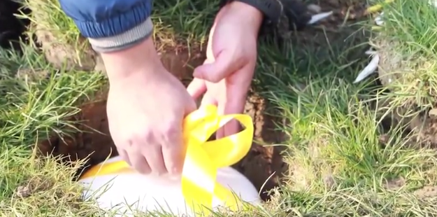 AG真人国际(中国)官方网站