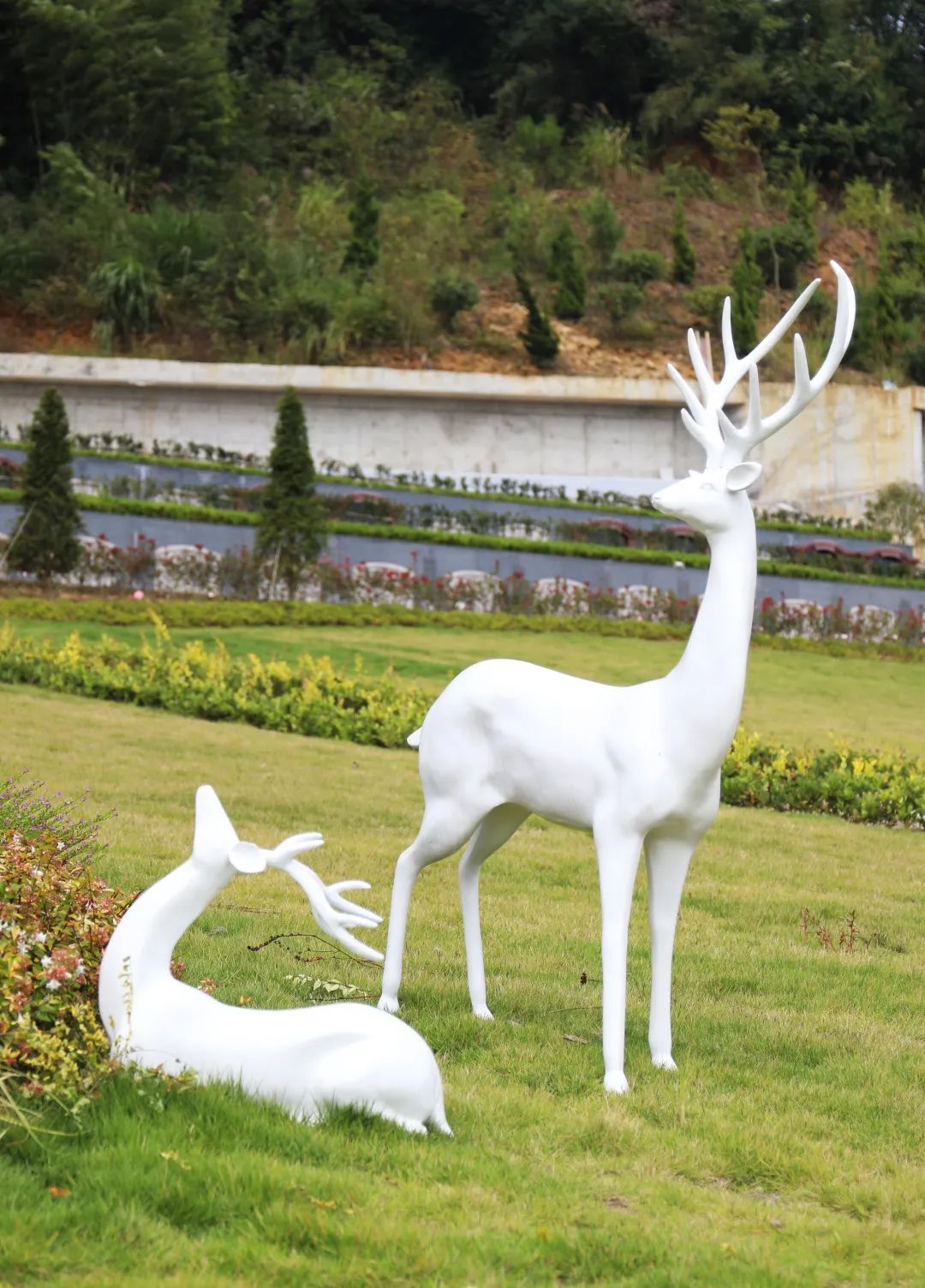 AG真人国际(中国)官方网站