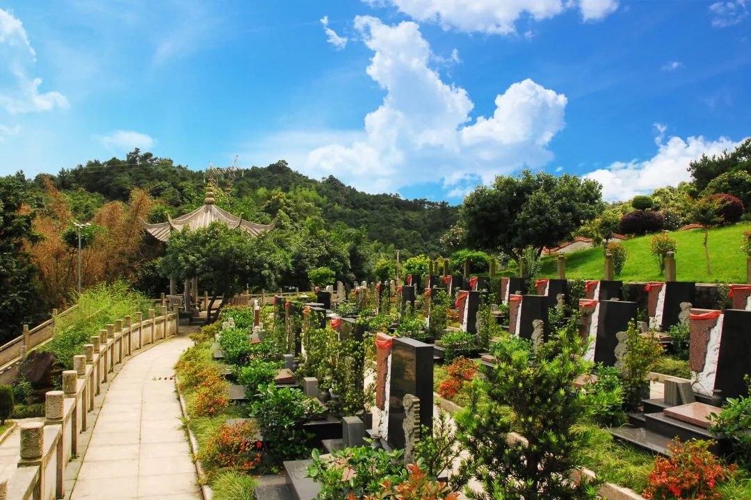 AG真人国际(中国)官方网站